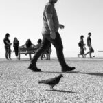 Spacerujące osoby po betonowym wybrzeżu.