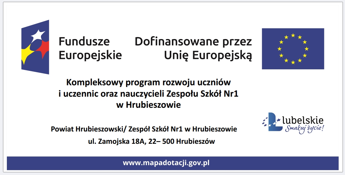 Read more about the article ZAKOŃCZENIE ZAJĘĆ ZAWODOZNAWCZYCH W PIERWSZEJ GRUPIE PROJEKTU